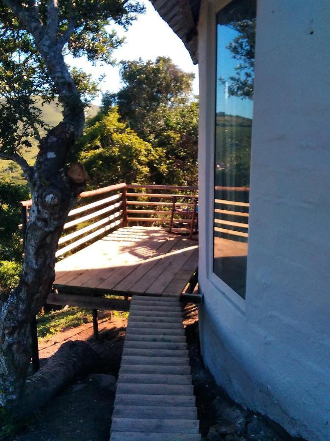 Wildview Self Catering Cottages Coffee Bay, Breakfast & Wi-Fi Inc Εξωτερικό φωτογραφία