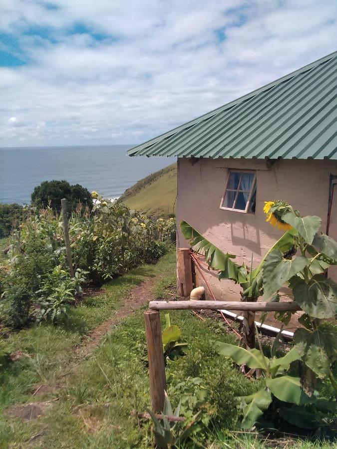 Wildview Self Catering Cottages Coffee Bay, Breakfast & Wi-Fi Inc Εξωτερικό φωτογραφία